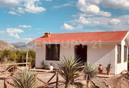 Calle 8 93,, Lerdo, Durango 35181, Mexico