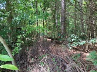 0 Ryman Ridge Rd, Dalton, Georgia 30720, Estados Unidos