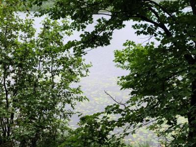 XXX N White Swan Lake Rd, Bigfork, מינסוטה 56628, ארצות הברית של אמריקה 