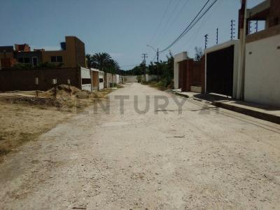Pampatar, Nueva Esparta 6316, Venezuela