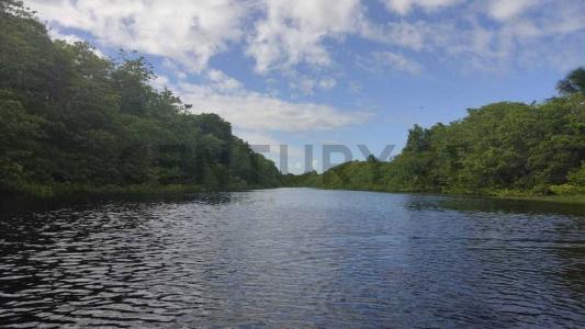 Río Chico, Miranda 1236, Venezuela