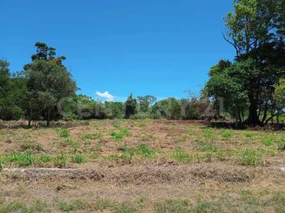 Tortuga Azul, Lote 9, Manzana 14 s/n,, Aldama, Tamaulipas 89670, Mexico