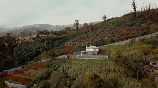 Funchal, Madeira 9060-309, Bồ Đào Nha