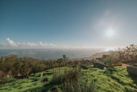 Funchal, Madeira 9060-309, Bồ Đào Nha