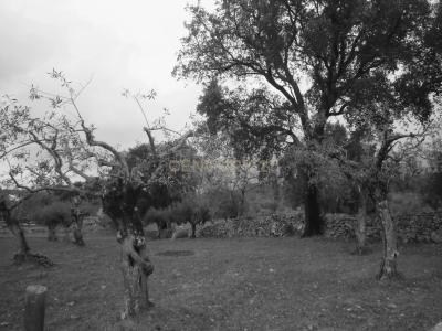 Portalegre, Portalegre 7300-318, Portugal