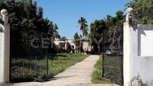 Manzanillo, Colima 28868, Mexico