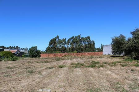 Marinha Grande, Лейрия 2430-320, Португалия
