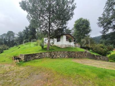 Carr. Toluca-Cd. Altamirano S/N,, Temascaltepec, Estado De México 51325, Mexiko