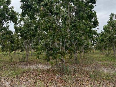 Acaponeta, Nayarit 63400, Mexiko