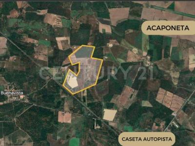 Tecuala, נאיאריט 63440, מקסיקו 