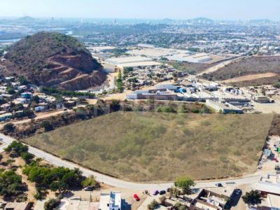 Mazatlán, 锡那罗亚 82090, 墨西哥