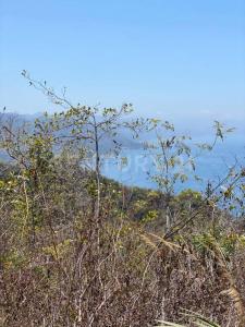 N/A 6 N/A 6,, Puerto Vallarta, Jalisco 48390, México
