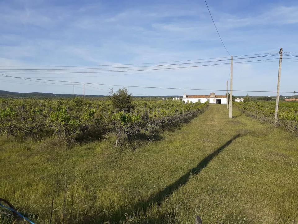 Redondo, Évora 7170-104, Portugal