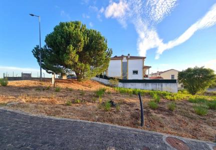 Entroncamento, Santarém 2330-263, Portugal