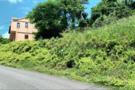 River Sallee Main Road Land, River Sallee, St.Patrick West Indies, Grenada
