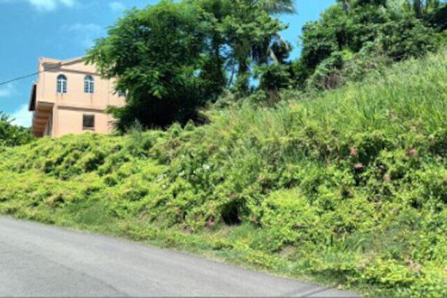 River Sallee Main Road Land, River Sallee, St.Patrick West Indies, Granada