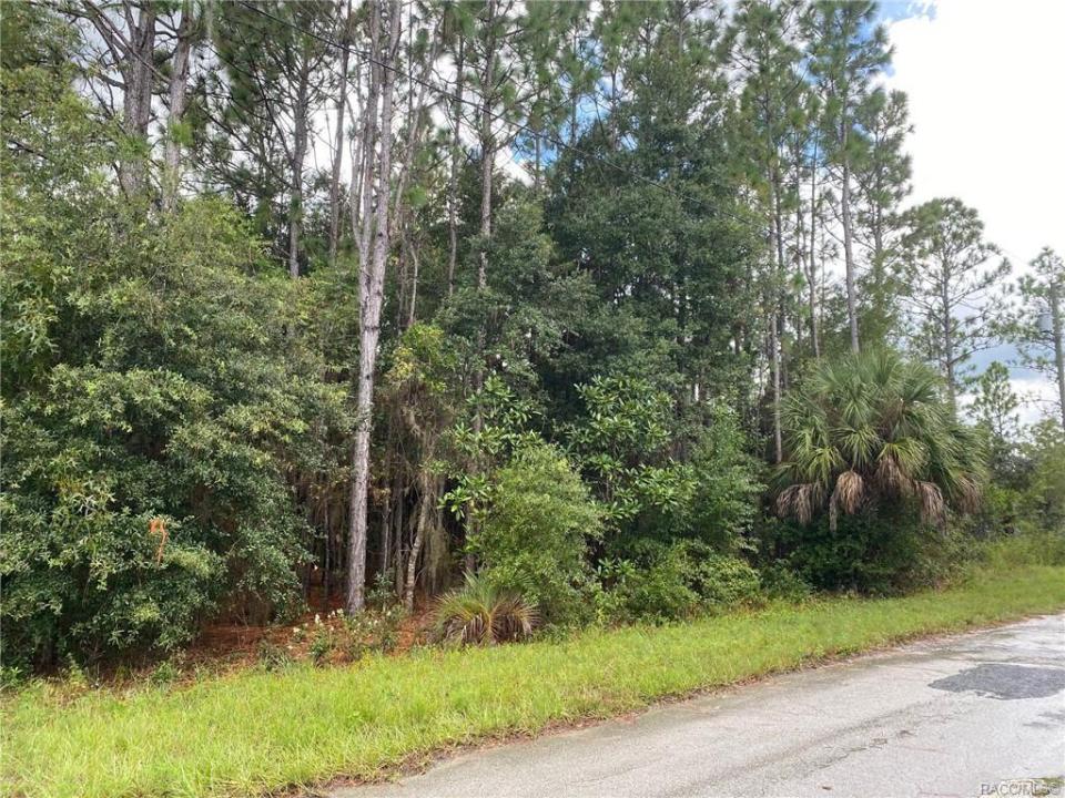 6082 W CARUSO CT, Dunnellon, Floryda 34433, USA