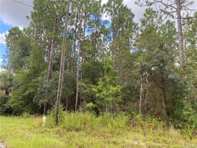 6082 W CARUSO CT, Dunnellon, Floryda 34433, USA