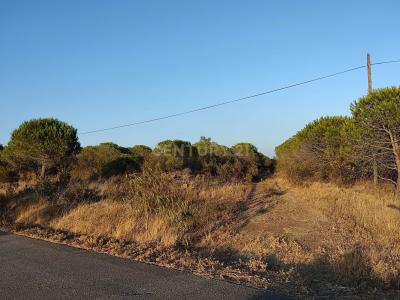 Lagos, Faro 8600-070, Portugal