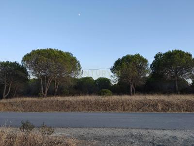 Lagos, Faro 8600-070, Portugal