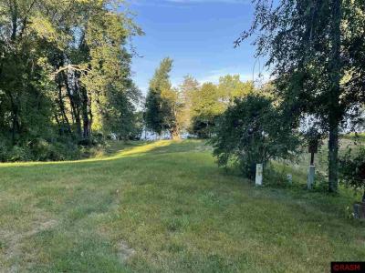Madison Lake, ミネソタ 56063, アメリカ合衆国