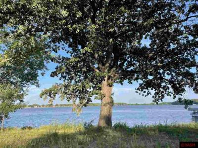Madison Lake, ミネソタ 56063, アメリカ合衆国