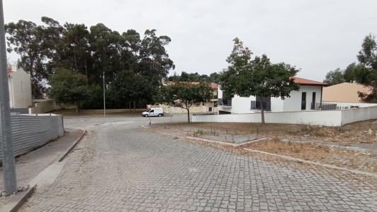 Póvoa de Varzim, Porto 4495-350, Portugal