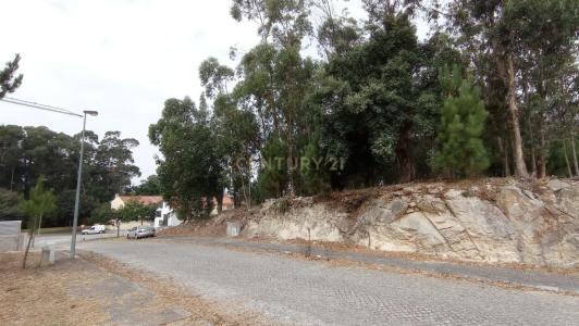 Póvoa De Varzim, Porto 4495-350, Portugal