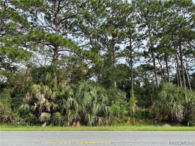 7860 W Homosassa Trail, Homosassa, فلوريدا 34448, الولايات المتحدة