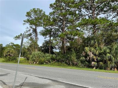 Homosassa, Florida 34448