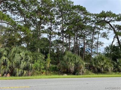 Homosassa, Florida 34448