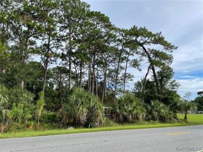 Homosassa, Florida 34448