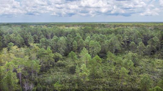 2459 OLD TRAIN ROAD, DELTONA, Florida 32738