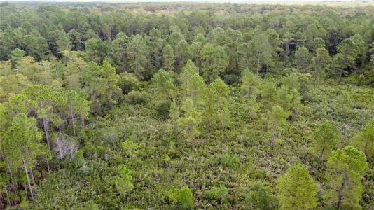 2459 OLD TRAIN ROAD, DELTONA, Florida 32738