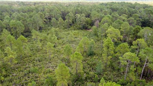 2459 OLD TRAIN ROAD, DELTONA, Florida 32738