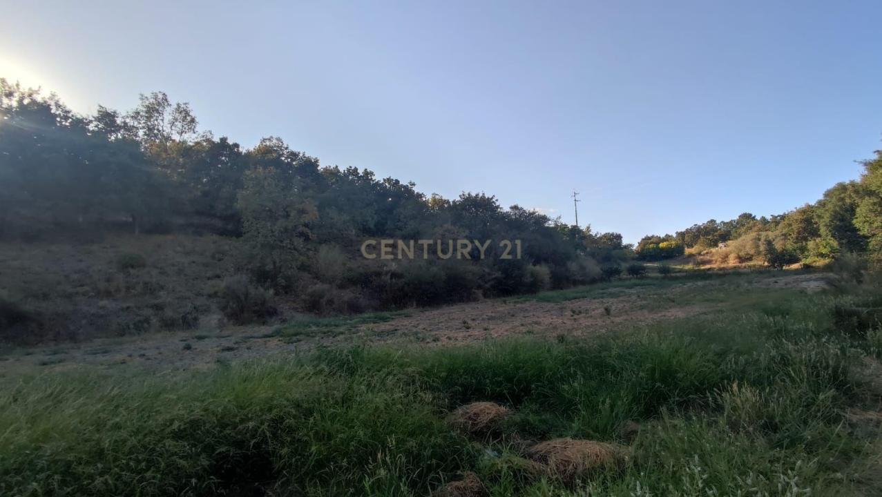 Fundão, 布朗庫堡區 6230, 葡萄牙