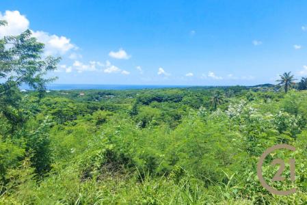 Requin Land, Requin Heights, Requin, St.David West Indies, Grenada