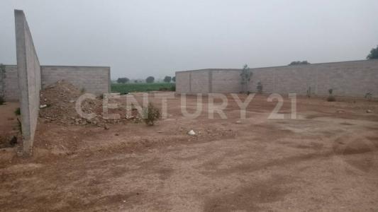 La Fortuna camino a la Universidad 90 lote C,, Zumpango, Estado De México 55619, Mexiko