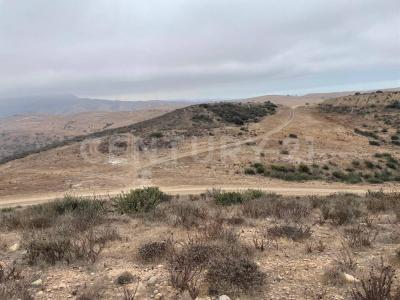 Playas De Rosarito, Kalifornia Dolna 22700, Meksyk