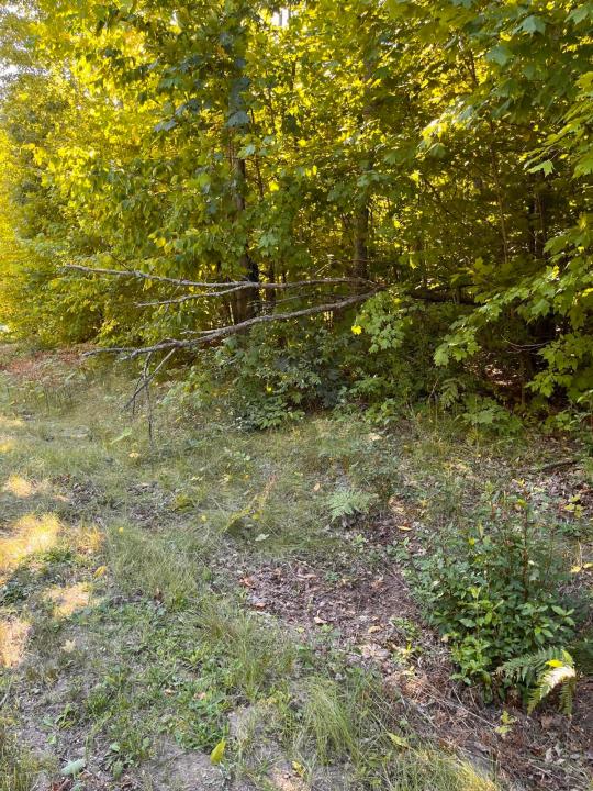 Deerfield Drive, Grayling, Michigan 49738