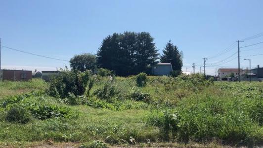 柳町北区15-18, 音更町柳町北区　売土地, 河東郡音更町, Hokkaido 080-0121, Japon