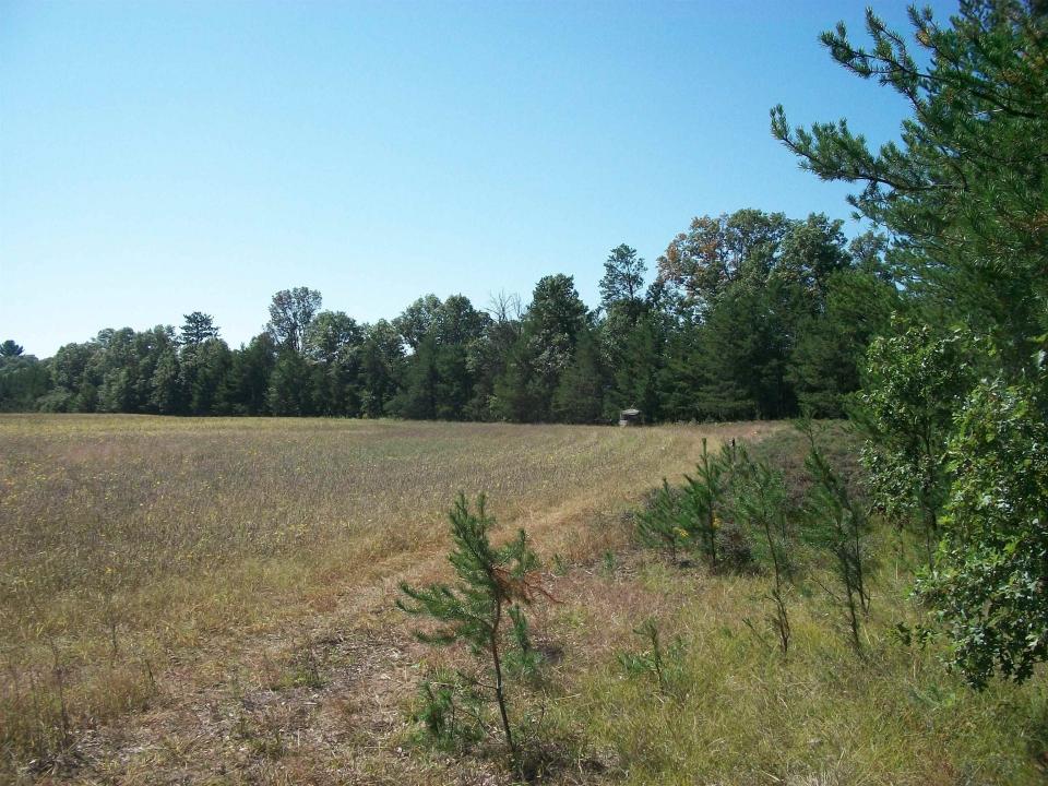 38 acres 18th St, Necedah, Висконсин 54646, Соединенные Штаты