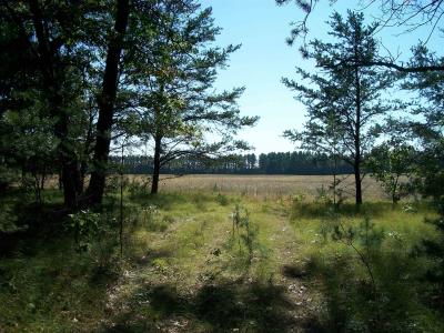 38 acres 18th St, Necedah, Wisconsin 54646, USA