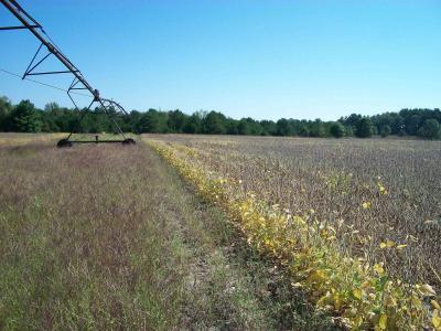 38 acres 18th St, Necedah, Висконсин 54646, Соединенные Штаты