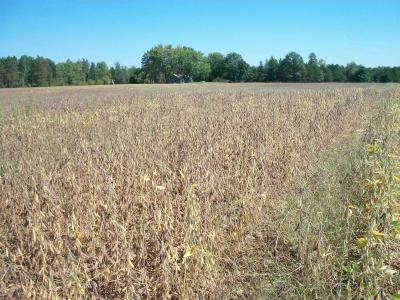 38 acres 18th St, Necedah, Висконсин 54646, Соединенные Штаты