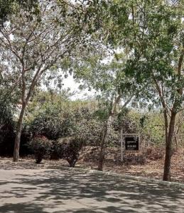 Retorno las mariposas # 18,, Bahía De Banderas, Nayarit 63735, México