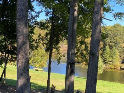 9220 Ranger Dr., Canadian Lakes, Michigan 49346, USA