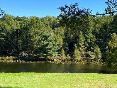 9220 Ranger Dr., Canadian Lakes, Michigan 49346, USA