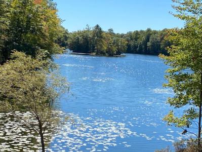 9220 Ranger Dr., Canadian Lakes, Michigan 49346, USA