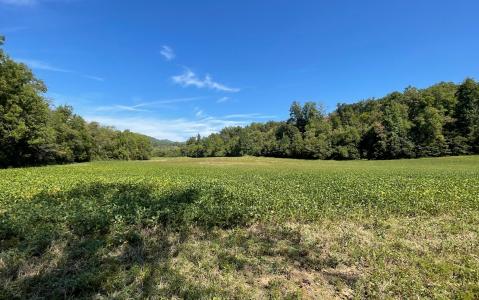 37+ac Jarrett Road, Hayesville, 北卡羅來納州 28904, 美國